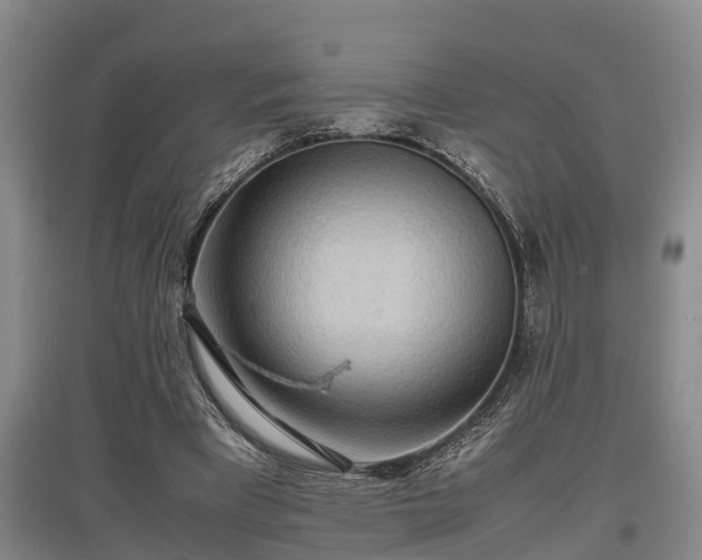 X0000097480393200802291403