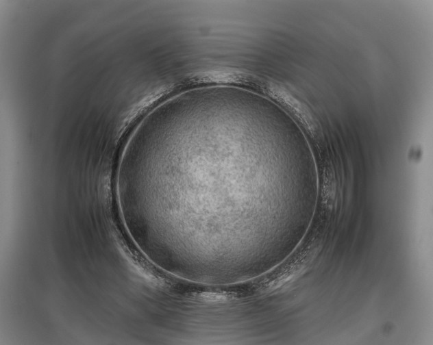 X0000097480394200802291403