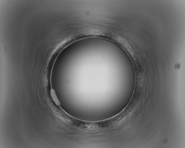 X0000097480395200802291403