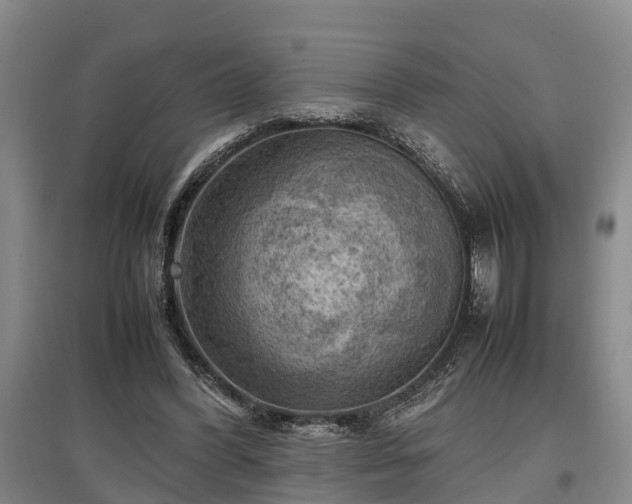 X0000097480396200802291403