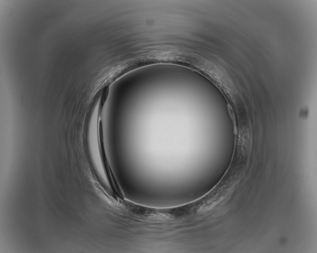 X0000097480397200802291403