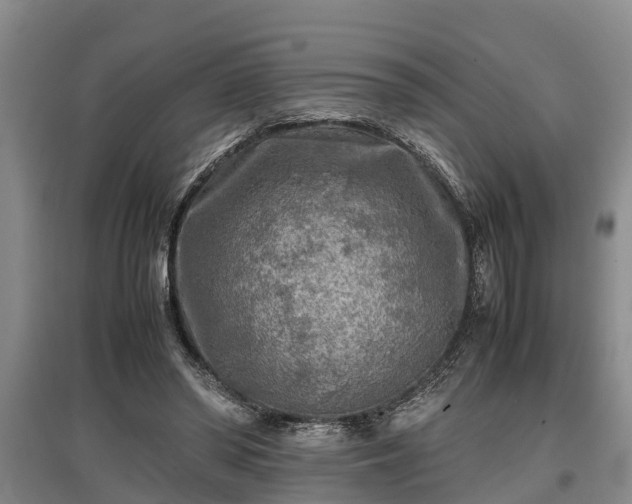 X0000097480398200802291403