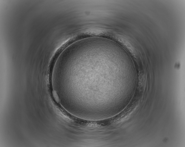 X0000097480399200802291403