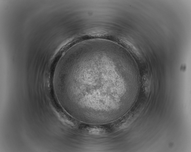 X0000097480400200802291403