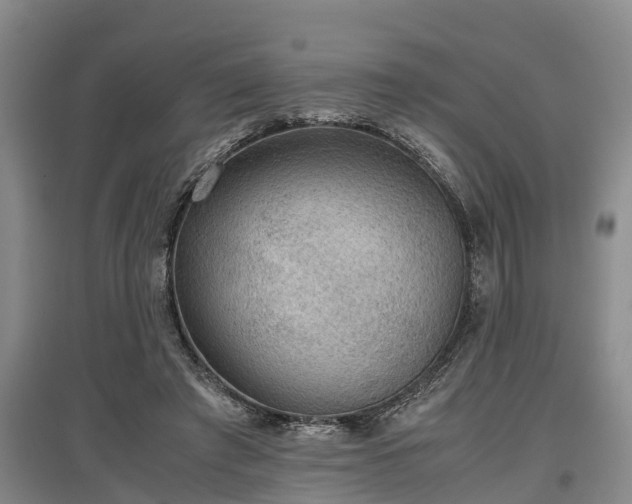 X0000097480401200802291403