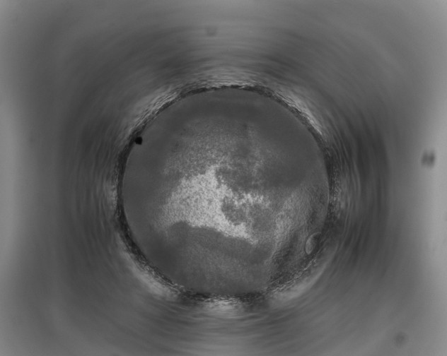 X0000097480402200802291403