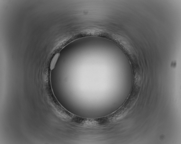 X0000097480403200802291403