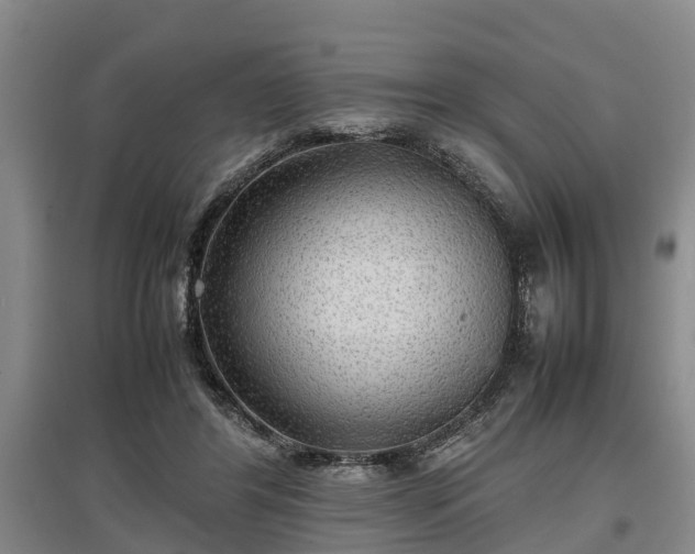 X0000097480404200802291403