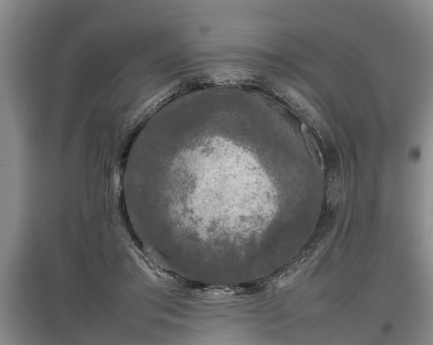 X0000097480405200802291403