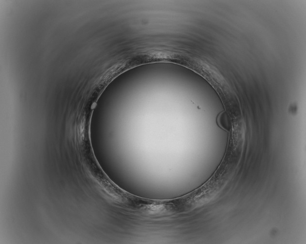 X0000097480406200802291403