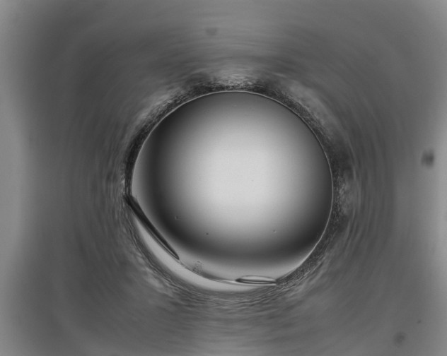 X0000097480407200802291403