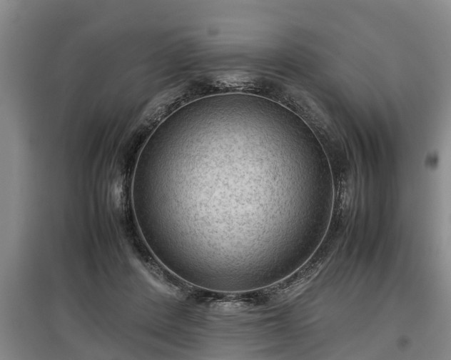 X0000097480408200802291403