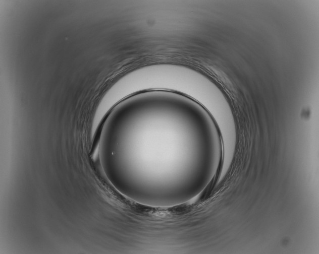 X0000097480409200802291403