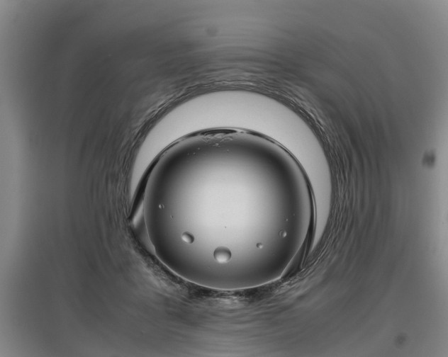 X0000097480411200802291403