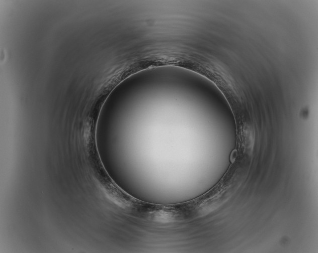 X0000097480412200802291403