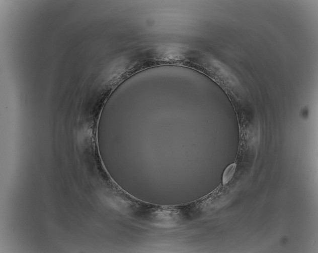 X0000097480415200802291403