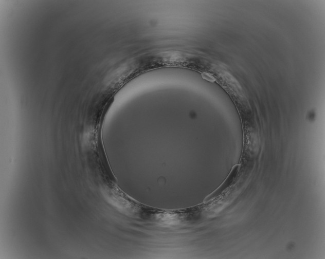 X0000097480419200802291403