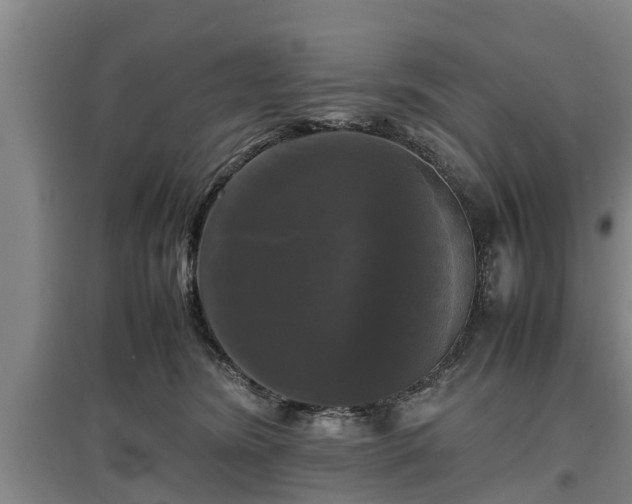 X0000097480420200802291403