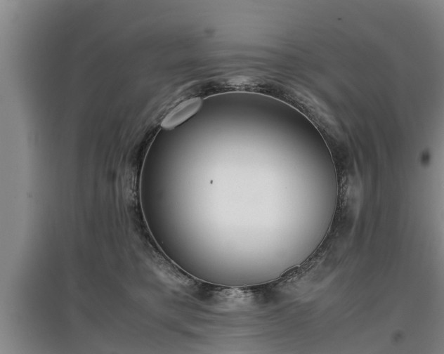 X0000097480421200802291403