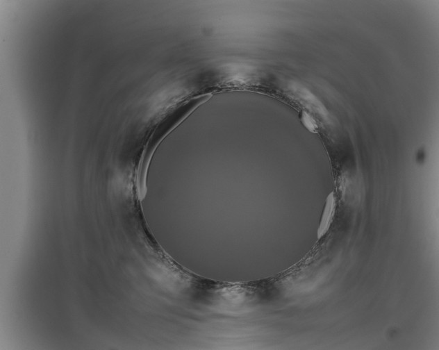 X0000097480423200802291403