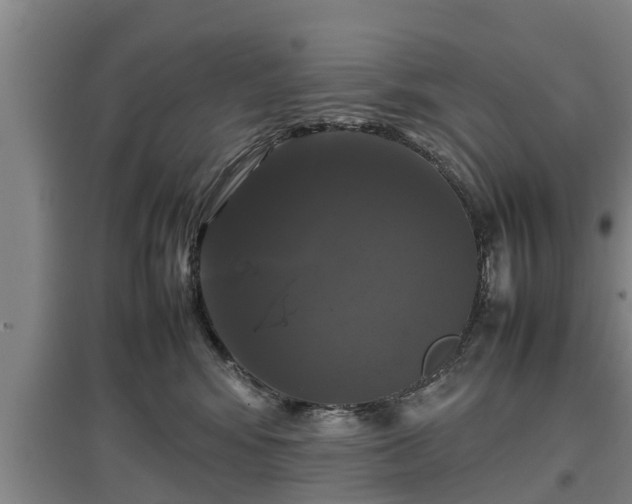 X0000097480424200802291403