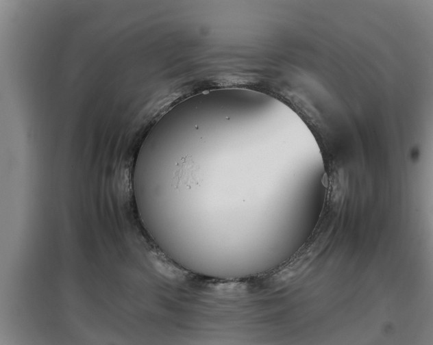 X0000097480426200802291402