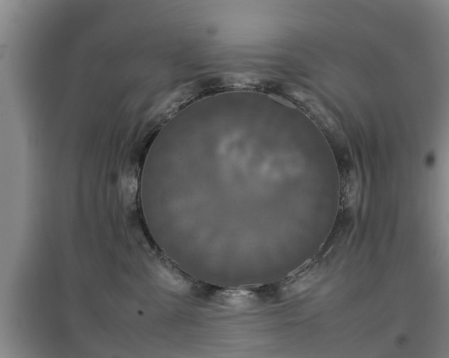 X0000097480427200802291402