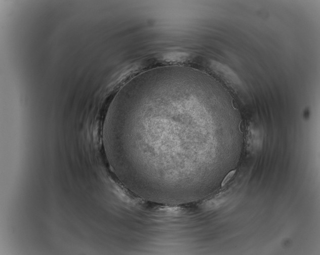 X0000097480428200802291402