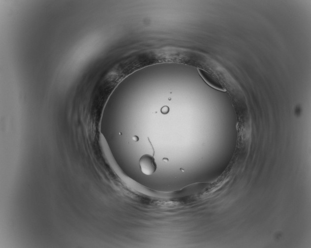 X0000097480429200802291402