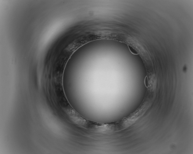 X0000097480430200802291402