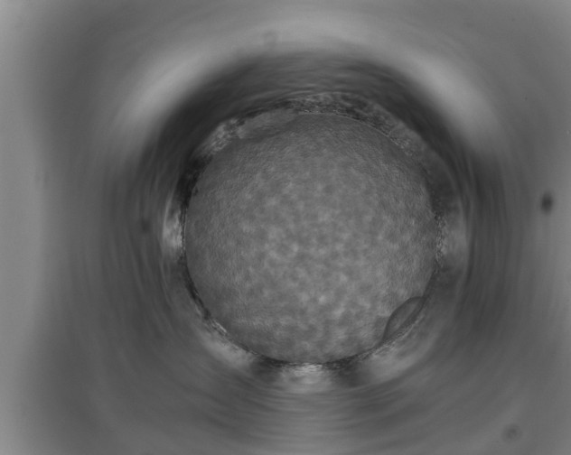 X0000097480431200802291402