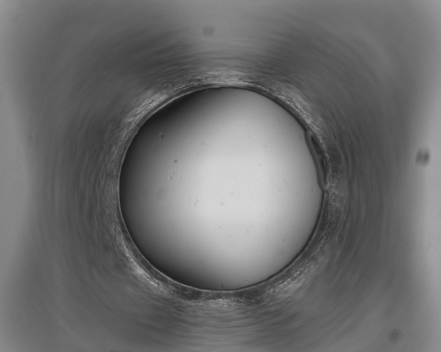 X0000097480433200802291402