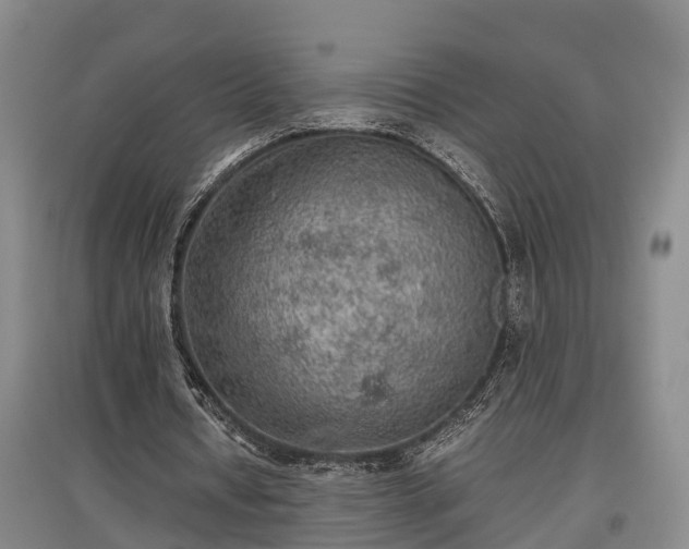 X0000097480434200802291402