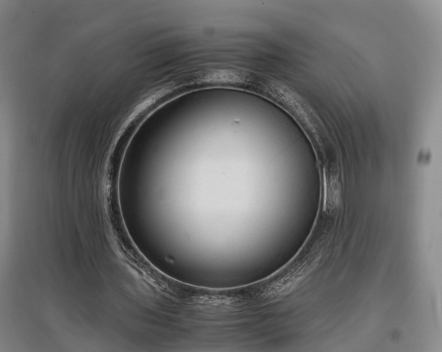 X0000097480435200802291402