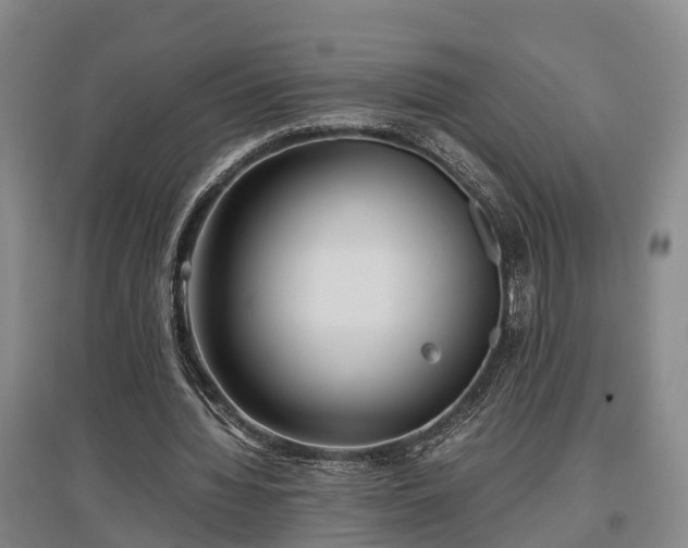 X0000097480436200802291402