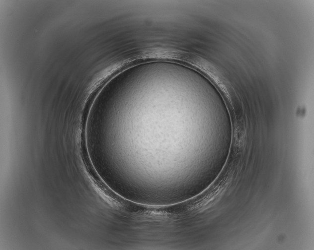 X0000097480437200802291402