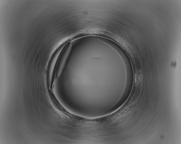 X0000097480438200802291402