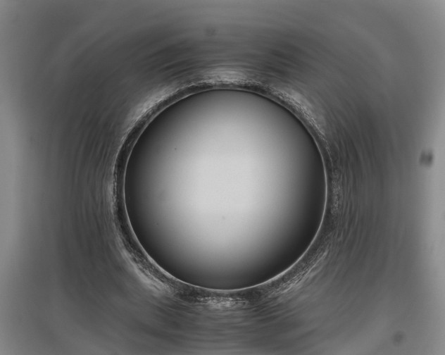 X0000097480439200802291402