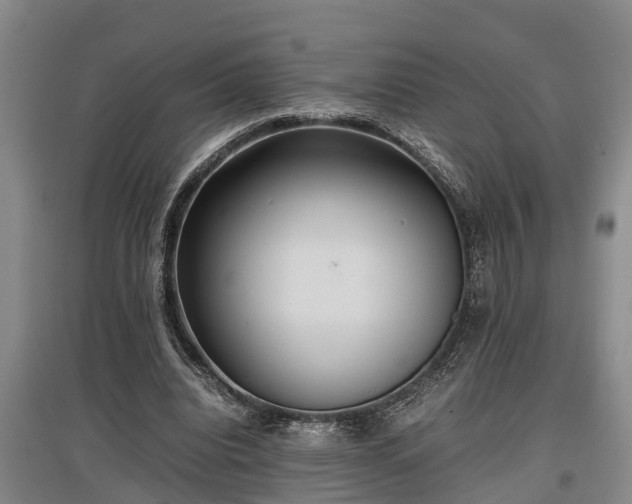 X0000097480440200802291402