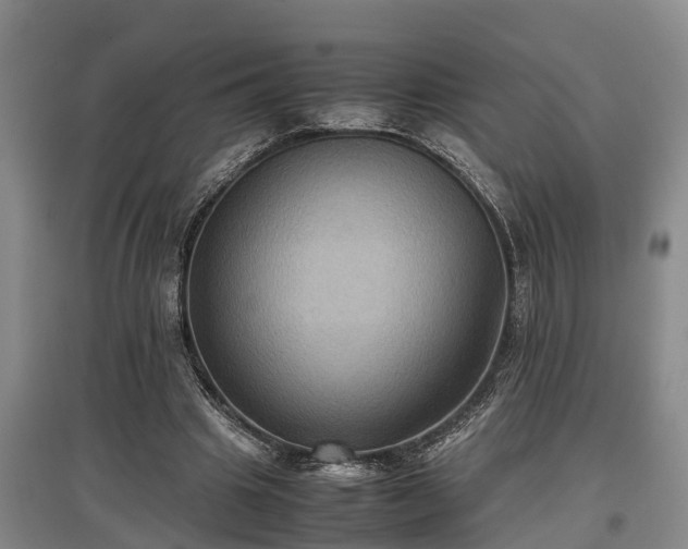 X0000097480441200802291402