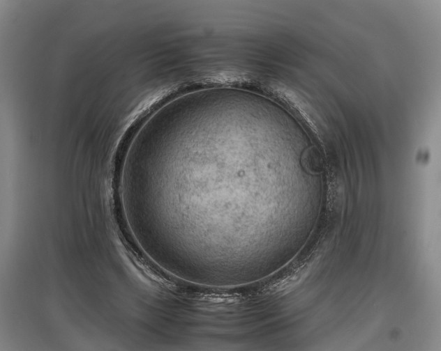 X0000097480443200802291402