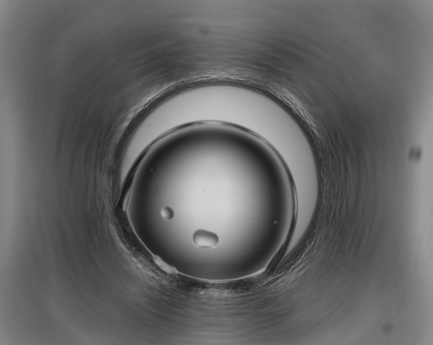 X0000097480444200802291402