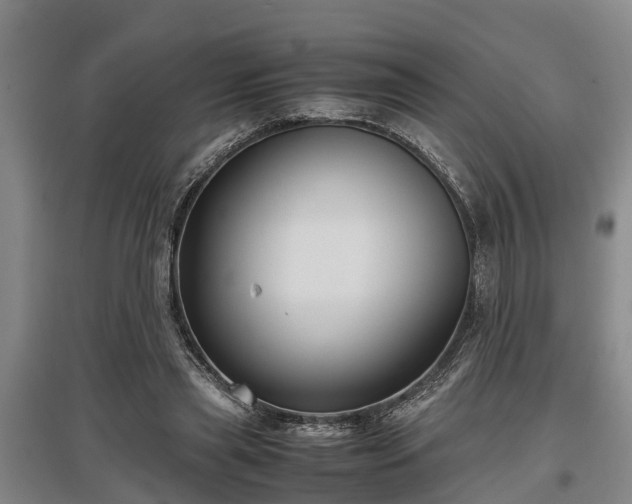 X0000097480445200802291402