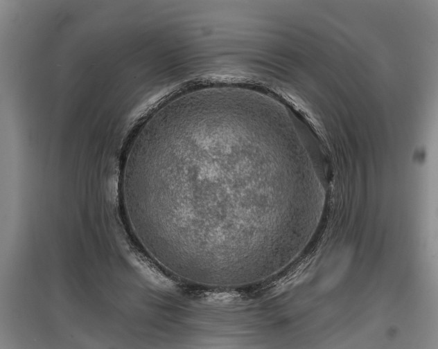 X0000097480446200802291402