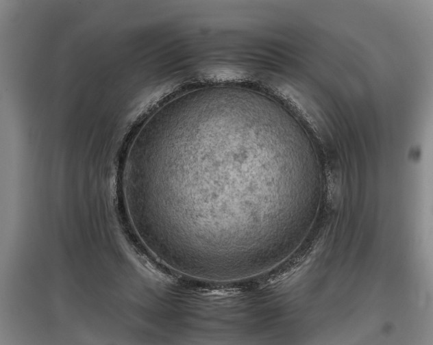 X0000097480447200802291402