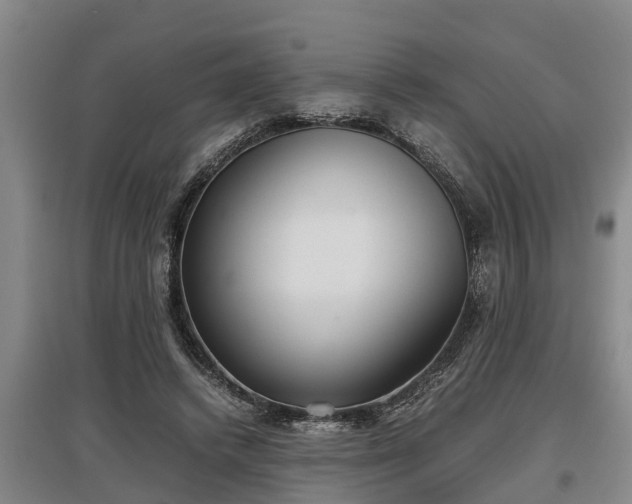 X0000097480448200802291402