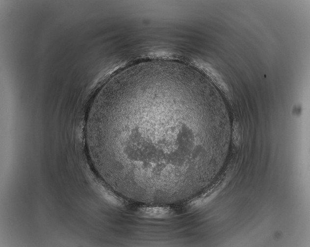 X0000097480449200802291402