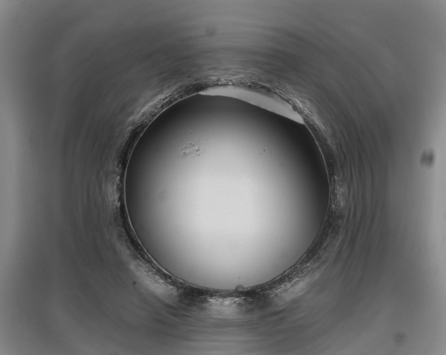 X0000097480450200802291402