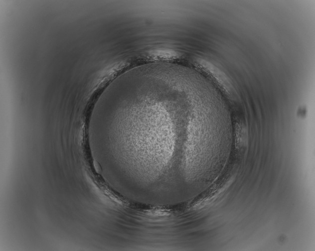 X0000097480451200802291402