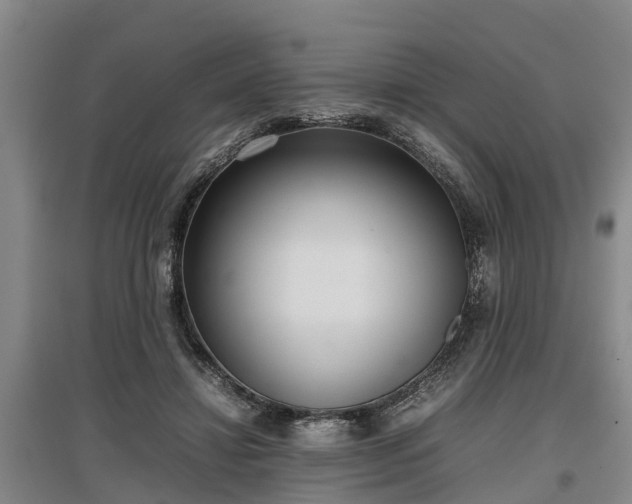 X0000097480452200802291402